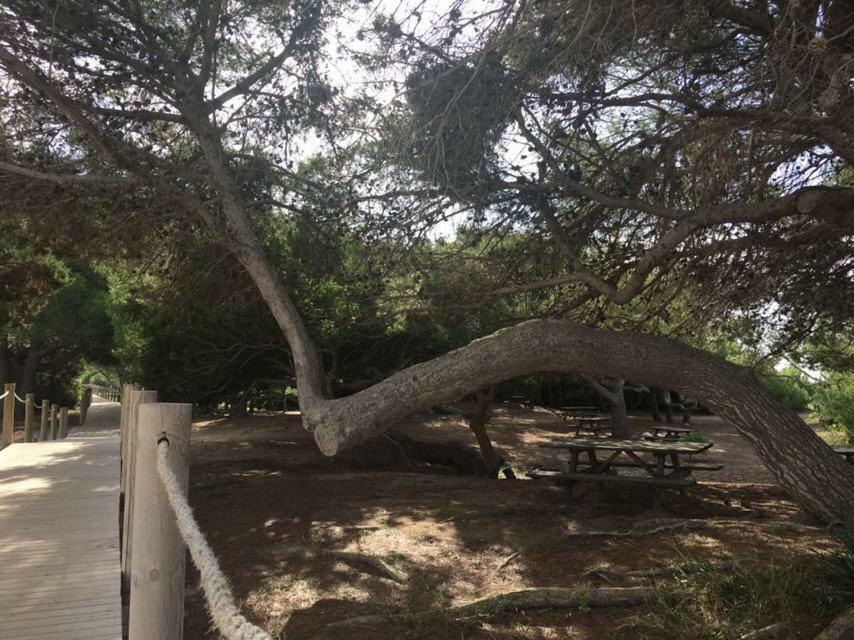 סון באו Apartamento El Descanso מראה חיצוני תמונה